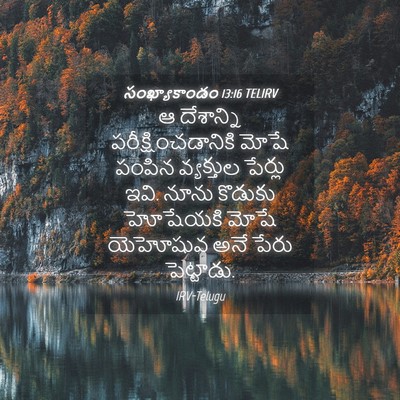 Picture 04 - సంఖ్యాకాండం 13:16 TELIRV - ఆ దేశాన్ని - Bible Verse Picture