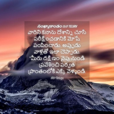 Picture 04 - సంఖ్యాకాండం 13:17 TELIRV - వారిని కనాను - Bible Verse Picture