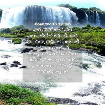 Picture 04 - సంఖ్యాకాండం 13:19 TELIRV - వారు నివసించే నేల - Bible Verse Picture