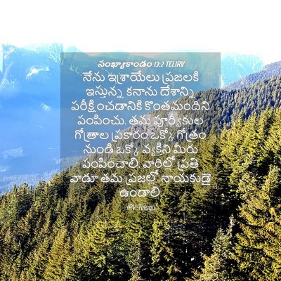 Picture 04 - సంఖ్యాకాండం 13:2 TELIRV - నేను ఇశ్రాయేలు - Bible Verse Picture