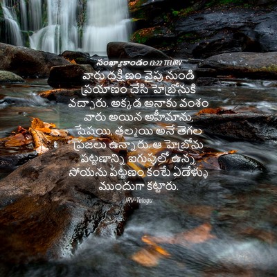 Picture 04 - సంఖ్యాకాండం 13:22 TELIRV - వారు దక్షిణం వైపు - Bible Verse Picture
