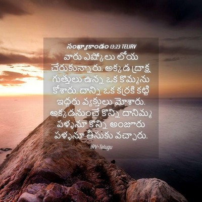 Picture 04 - సంఖ్యాకాండం 13:23 TELIRV - వారు ఎష్కోలు లోయ - Bible Verse Picture