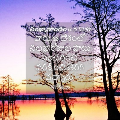 Picture 04 - సంఖ్యాకాండం 13:25 TELIRV - వారు ఆ దేశంలో నలభై - Bible Verse Picture