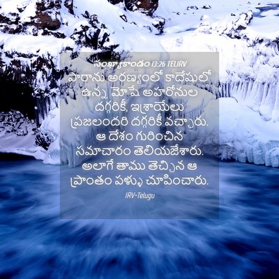 Picture 04 - సంఖ్యాకాండం 13:26 TELIRV - పారాను అరణ్యంలో - Bible Verse Picture