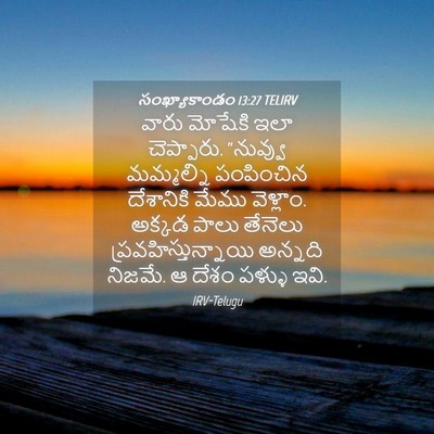 Picture 04 - సంఖ్యాకాండం 13:27 TELIRV - వారు మోషేకి ఇలా - Bible Verse Picture
