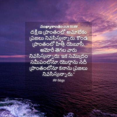 Picture 04 - సంఖ్యాకాండం 13:29 TELIRV - దక్షిణ ప్రాంతంలో - Bible Verse Picture