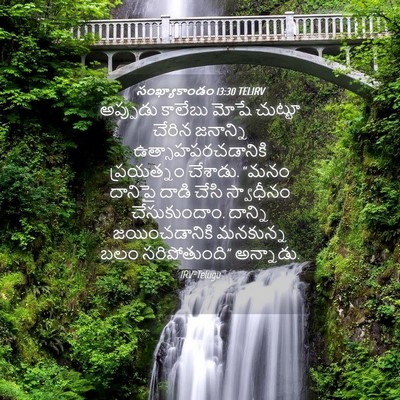 Picture 04 - సంఖ్యాకాండం 13:30 TELIRV - అప్పుడు కాలేబు - Bible Verse Picture
