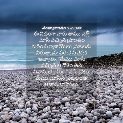 Picture 04 - సంఖ్యాకాండం 13:32 TELIRV - ఈ విధంగా వారు తాము - Bible Verse Picture