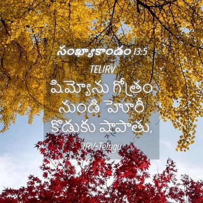 Picture 04 - సంఖ్యాకాండం 13:5 TELIRV - షిమ్యోను గోత్రం - Bible Verse Picture