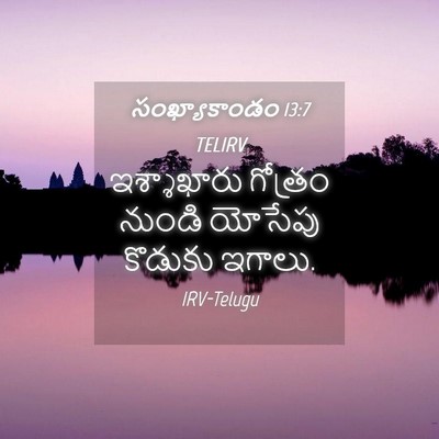 Picture 04 - సంఖ్యాకాండం 13:7 TELIRV - ఇశ్శాఖారు గోత్రం - Bible Verse Picture
