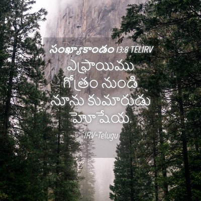 Picture 04 - సంఖ్యాకాండం 13:8 TELIRV - ఎఫ్రాయిము గోత్రం - Bible Verse Picture