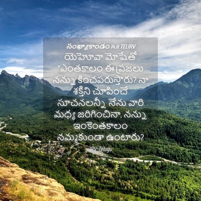 Picture 04 - సంఖ్యాకాండం 14:11 TELIRV - యెహోవా మోషేతో - Bible Verse Picture