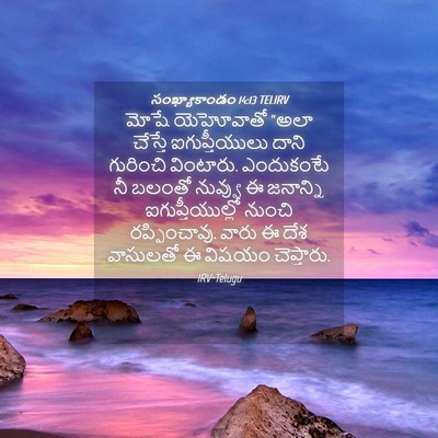 Picture 04 - సంఖ్యాకాండం 14:13 TELIRV - మోషే యెహోవాతో - Bible Verse Picture