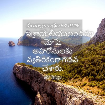 Picture 04 - సంఖ్యాకాండం 14:2 TELIRV - ఇశ్రాయేలీయులందరూ - Bible Verse Picture