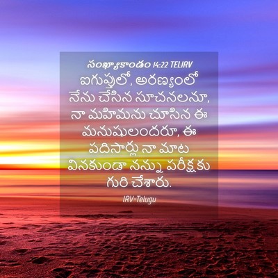 Picture 04 - సంఖ్యాకాండం 14:22 TELIRV - ఐగుప్తులో, - Bible Verse Picture