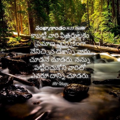 Picture 04 - సంఖ్యాకాండం 14:23 TELIRV - కాబట్టి వారి - Bible Verse Picture