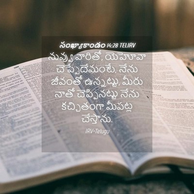 Picture 04 - సంఖ్యాకాండం 14:28 TELIRV - నువ్వు వారితో, - Bible Verse Picture