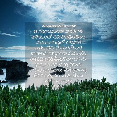 Picture 04 - సంఖ్యాకాండం 14:3 TELIRV - ఆ సమాజమంతా వారితో - Bible Verse Picture
