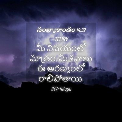 Picture 04 - సంఖ్యాకాండం 14:32 TELIRV - మీ విషయంలో మాత్రం, - Bible Verse Picture