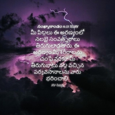 Picture 04 - సంఖ్యాకాండం 14:33 TELIRV - మీ పిల్లలు ఈ - Bible Verse Picture