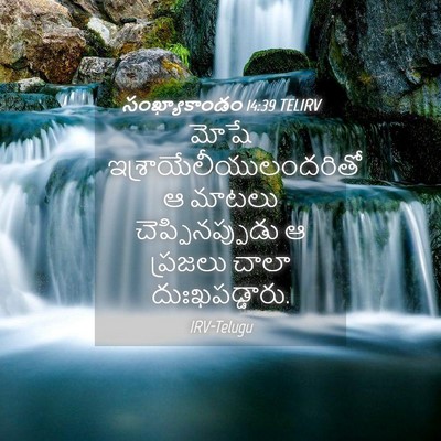 Picture 04 - సంఖ్యాకాండం 14:39 TELIRV - మోషే - Bible Verse Picture