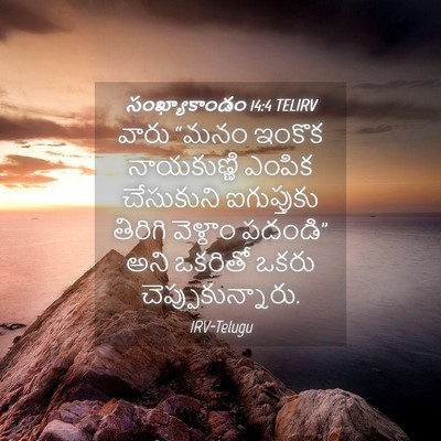 Picture 04 - సంఖ్యాకాండం 14:4 TELIRV - వారు “మనం ఇంకొక - Bible Verse Picture