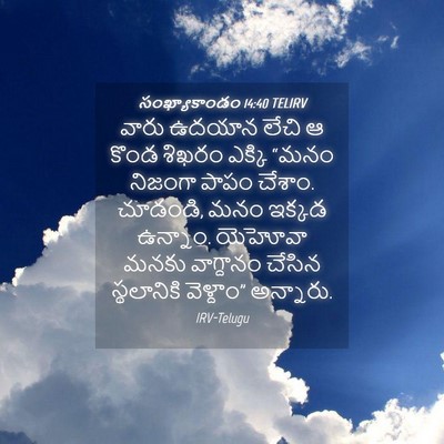 Picture 04 - సంఖ్యాకాండం 14:40 TELIRV - వారు ఉదయాన లేచి ఆ - Bible Verse Picture
