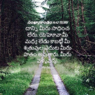 Picture 04 - సంఖ్యాకాండం 14:42 TELIRV - దాన్ని మీరు - Bible Verse Picture