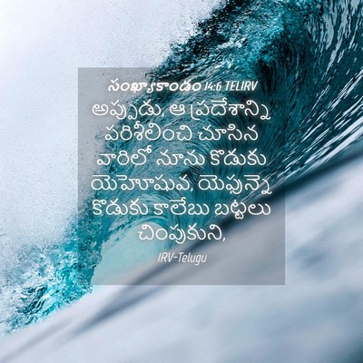 Picture 04 - సంఖ్యాకాండం 14:6 TELIRV - అప్పుడు, ఆ - Bible Verse Picture