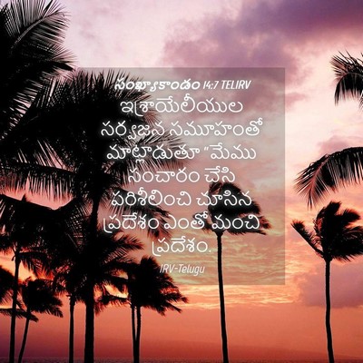 Picture 04 - సంఖ్యాకాండం 14:7 TELIRV - ఇశ్రాయేలీయుల - Bible Verse Picture