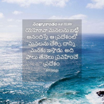 Picture 04 - సంఖ్యాకాండం 14:8 TELIRV - యెహోవా మనలను - Bible Verse Picture