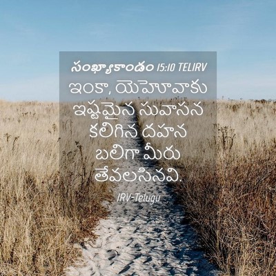 Picture 04 - సంఖ్యాకాండం 15:10 TELIRV - ఇంకా, యెహోవాకు - Bible Verse Picture