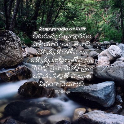 Picture 04 - సంఖ్యాకాండం 15:11 TELIRV - లీటరున్నర - Bible Verse Picture