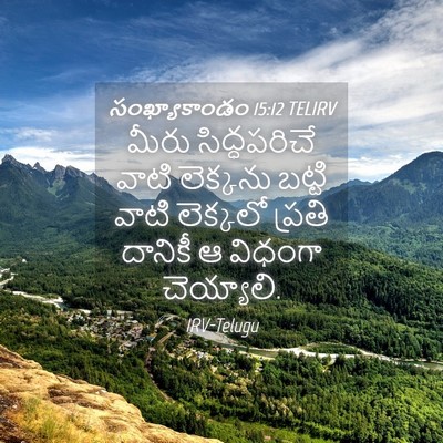 Picture 04 - సంఖ్యాకాండం 15:12 TELIRV - మీరు సిద్ధపరిచే - Bible Verse Picture