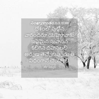 Picture 04 - సంఖ్యాకాండం 15:13 TELIRV - దేశంలో పుట్టిన - Bible Verse Picture