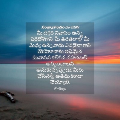Picture 04 - సంఖ్యాకాండం 15:14 TELIRV - మీ దగ్గర నివాసం - Bible Verse Picture