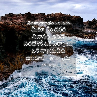 Picture 04 - సంఖ్యాకాండం 15:16 TELIRV - మీకూ, మీ దగ్గర - Bible Verse Picture