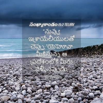 Picture 04 - సంఖ్యాకాండం 15:2 TELIRV - “నువ్వు - Bible Verse Picture