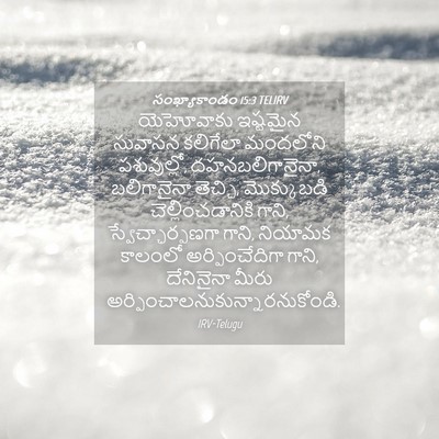 Picture 04 - సంఖ్యాకాండం 15:3 TELIRV - యెహోవాకు ఇష్టమైన - Bible Verse Picture