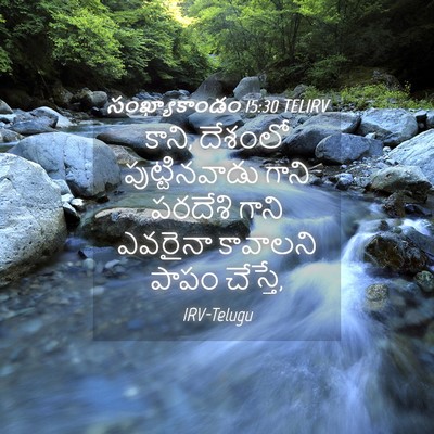 Picture 04 - సంఖ్యాకాండం 15:30 TELIRV - కాని, దేశంలో - Bible Verse Picture