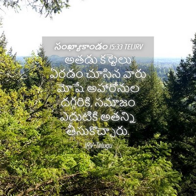 Picture 04 - సంఖ్యాకాండం 15:33 TELIRV - అతడు కట్టెలు ఏరడం - Bible Verse Picture