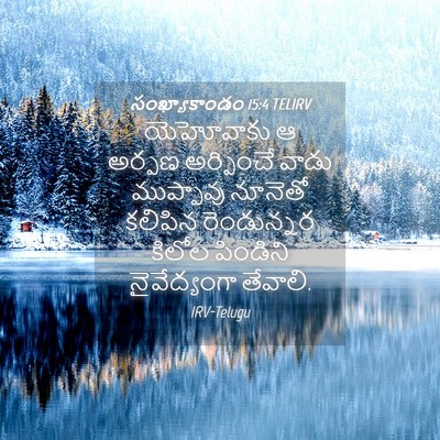 Picture 04 - సంఖ్యాకాండం 15:4 TELIRV - యెహోవాకు ఆ అర్పణ - Bible Verse Picture