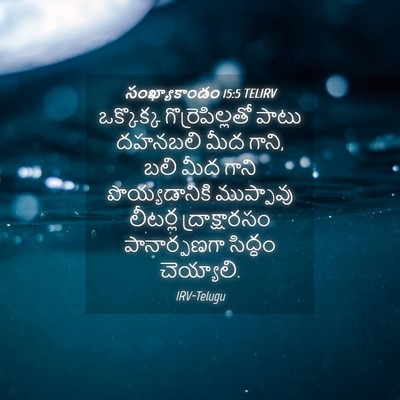 Picture 04 - సంఖ్యాకాండం 15:5 TELIRV - ఒక్కొక్క - Bible Verse Picture