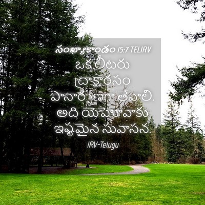 Picture 04 - సంఖ్యాకాండం 15:7 TELIRV - ఒక లీటరు - Bible Verse Picture