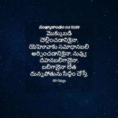 Picture 04 - సంఖ్యాకాండం 15:8 TELIRV - మొక్కుబడి - Bible Verse Picture
