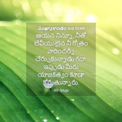 Picture 04 - సంఖ్యాకాండం 16:10 TELIRV - ఆయన నిన్నూ, నీతో - Bible Verse Picture