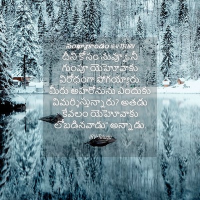 Picture 04 - సంఖ్యాకాండం 16:11 TELIRV - దీని కోసం నువ్వూ, - Bible Verse Picture