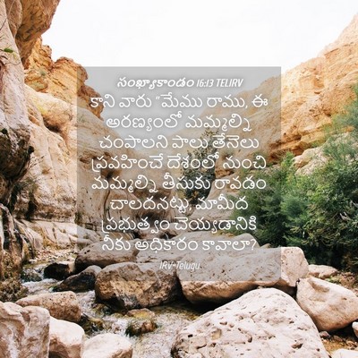 Picture 04 - సంఖ్యాకాండం 16:13 TELIRV - కాని వారు “మేము - Bible Verse Picture