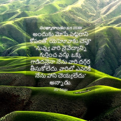 Picture 04 - సంఖ్యాకాండం 16:15 TELIRV - అందుకు మోషే - Bible Verse Picture