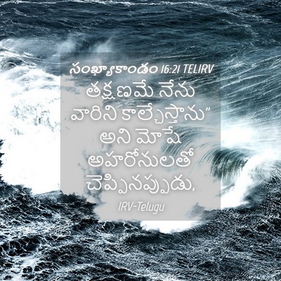 Picture 04 - సంఖ్యాకాండం 16:21 TELIRV - తక్షణమే నేను - Bible Verse Picture